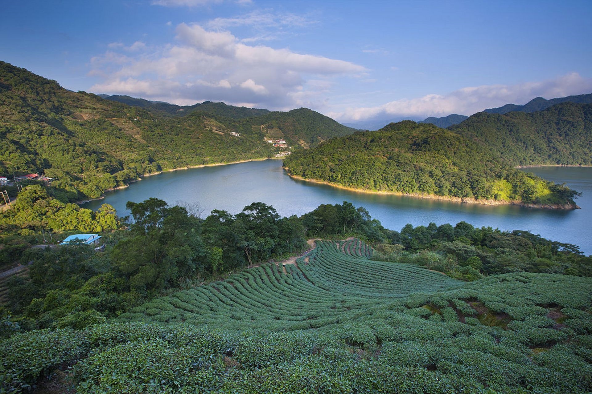 Dahong Mountain Forest Park